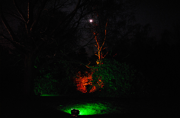Ready Steady Light 2016 Landscape Lighting Installations Team Nulty
