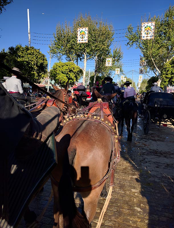 Lighting Garlands Seville Fair Horses Spain Nulty