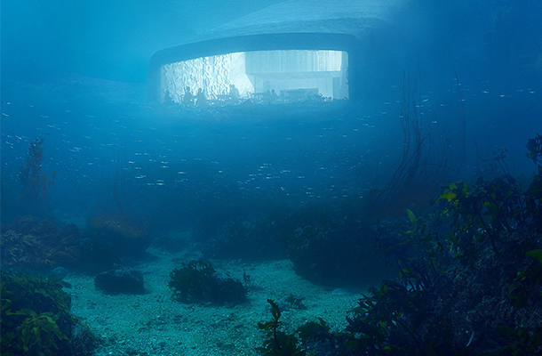 Snøhetta - Restaurant, Under Water Architecture Restaurant Under Water Architecture Seabed Snøhetta