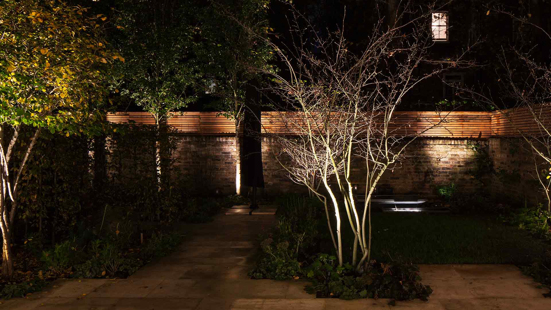Garden Lighting Scheme London Townhouse Trees Planting Designers Nulty