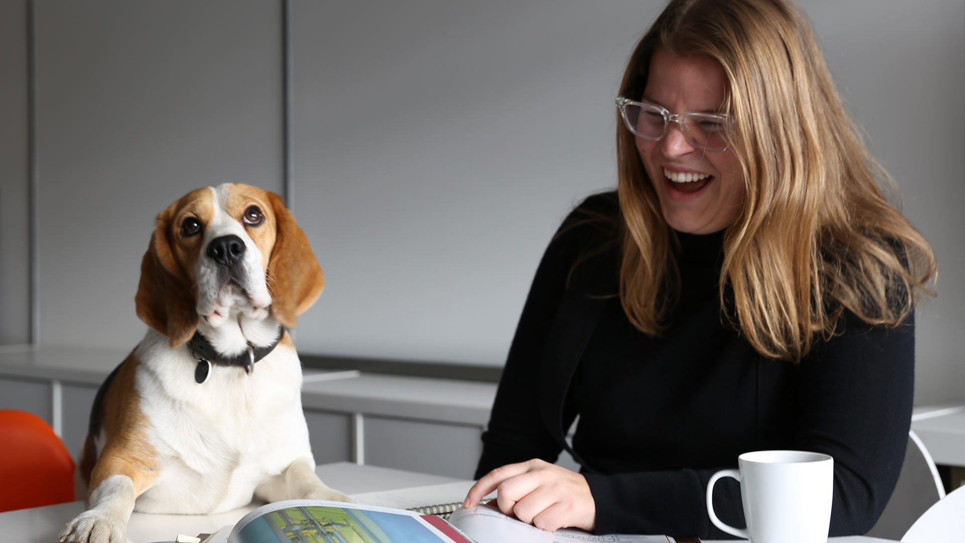 Office Dog Schnorbitz Business Development Sarah Crooks Lighting Design Consultants London Nulty