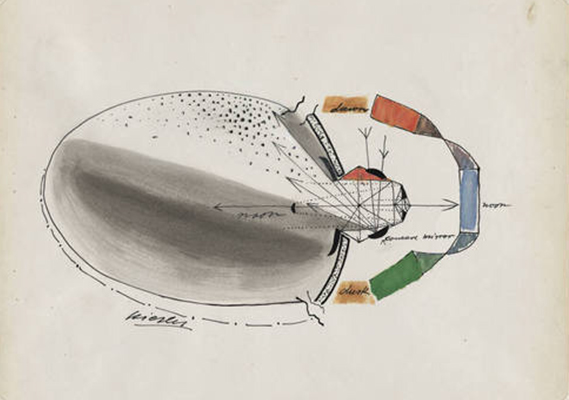 Frederick Kiesler - Endless House Project - Studies For Lighting Frederick Kiesler Endless House Project Studies For Lighting