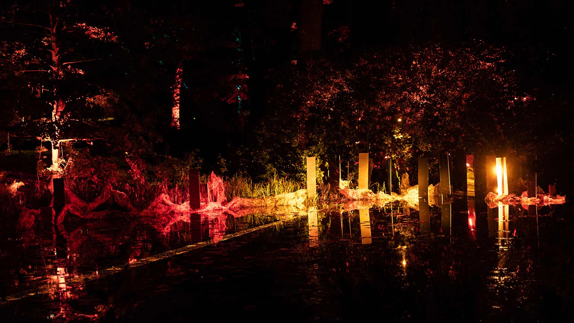 Lights in Alingsås The Pond Köllera Lighting Installation