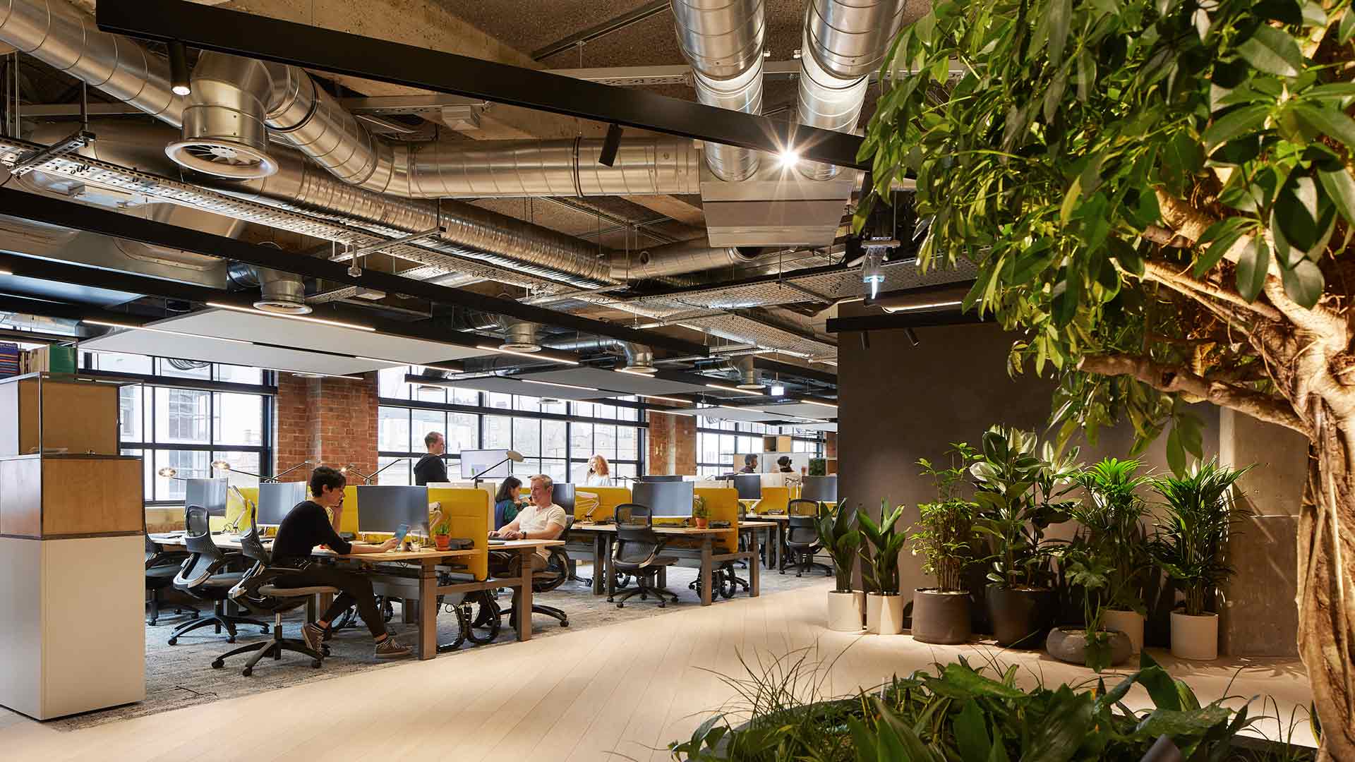 Lighting Scheme Open Plan Office Workstations Diffused Linear Ceiling Lights Track Spotlight System Industrial Architecture Exposed Services Lighting Design Consultants Nulty