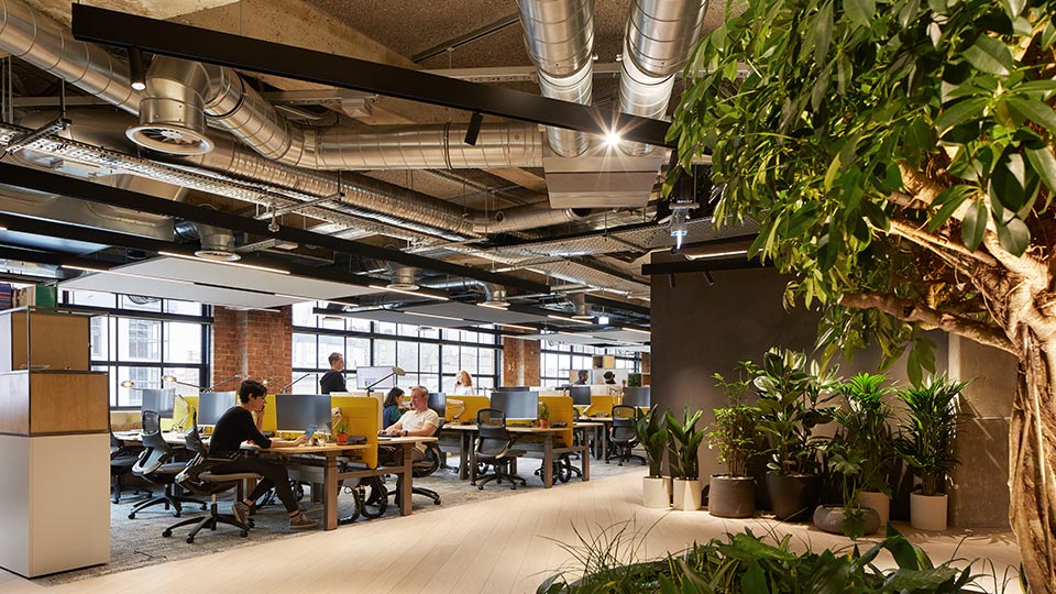 Lighting Scheme Open Plan Office Workstations Diffused Linear Ceiling Lights Track Spotlight System Industrial Architecture Exposed Services Lighting Design Consultants Nulty