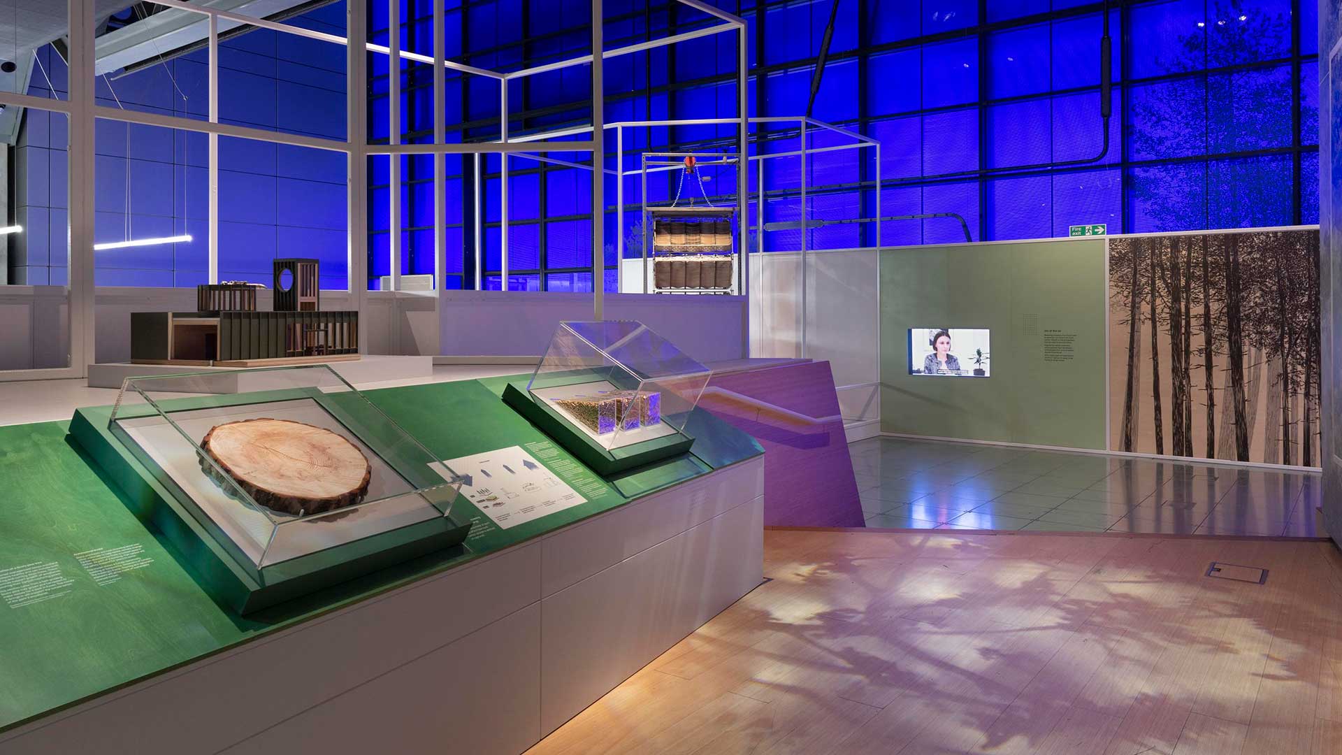 Projected Living Woodland Scene Museum Floor Exhibition Lighting Designers Nulty