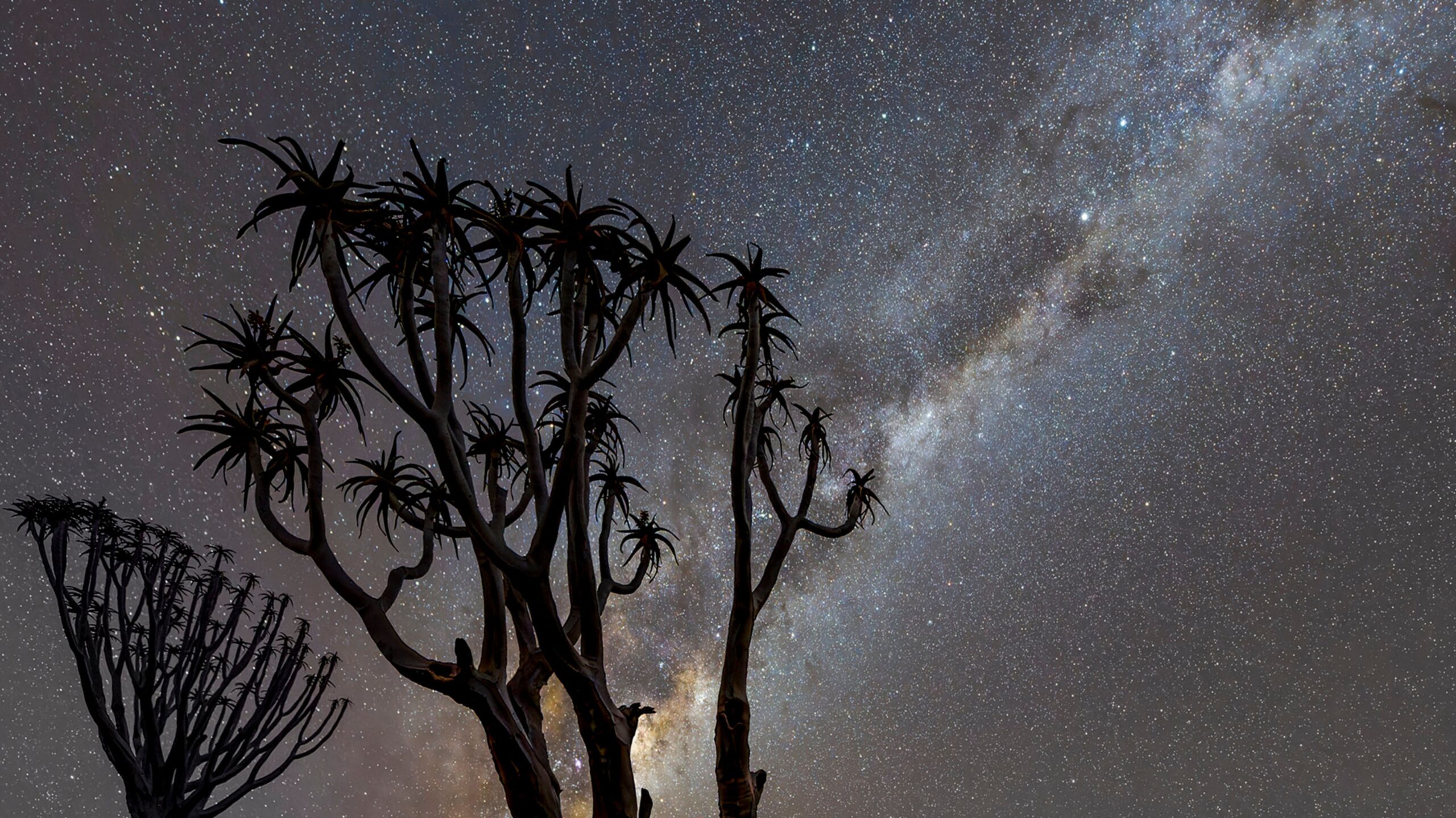 Paul Colley CB OBE FRPS Milky Way over the desert, Bagatelle, Namibia