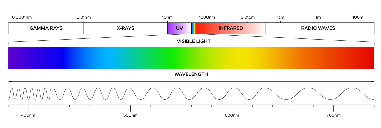  Red Light Infographic